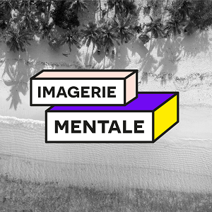 imagerie mentale méthode brikx