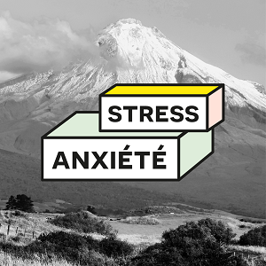 stress anxiété méthode brikx